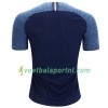 Tottenham Hotspur Uit Shirt 2018-19